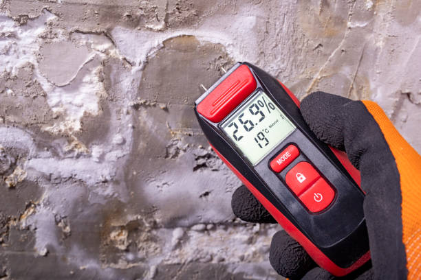 Professional Mold Remediation in Kennesaw, GA