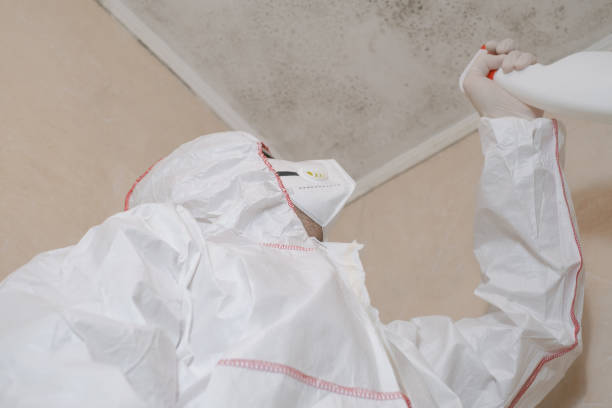 Best Commercial Mold Remediation in Kennesaw, GA